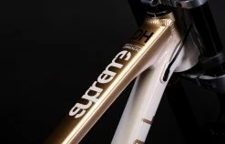 COMMENCAL SUPREME DH V5 GRADIENT GOLD -magasin de vélo 22SUPV5ALC4 04 2000