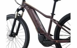 VTT électrique Liv Tempt E+1 27,5" Bordeaux Femme - 2022 11 VTT électrique Liv Tempt E+1 27,5" Bordeaux Femme - 2022 -magasin de vélo vtt electrique liv tempt e1 275 bordeaux femme 2022 4